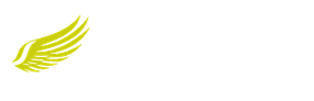 Aviation Indaba